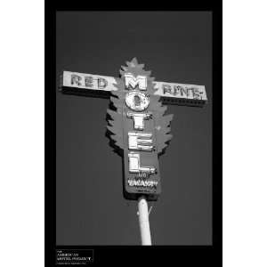  Red Pine B&W Poster   Small (24x18): Home & Kitchen
