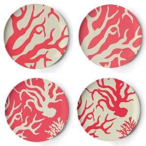  Thomas Paul Coral Dinner Plate Set: Kitchen & Dining