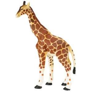  Wild Safari Wildlife: Giraffe Adult: Toys & Games