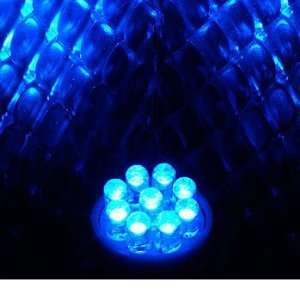  579 9 LED 2 Bulb Set  Color: Blue: Automotive