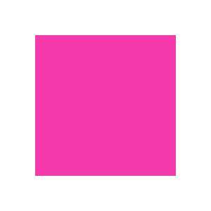  Rosco E Color 111 Dark Pink Gel Filter Sheet: Electronics