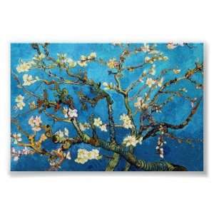  Van Gogh Blossoming Almond Tree Poster