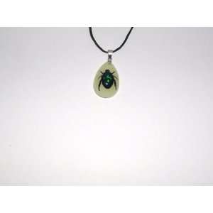  Glow in the dark Real Insect Necklace (YD0622): Everything 
