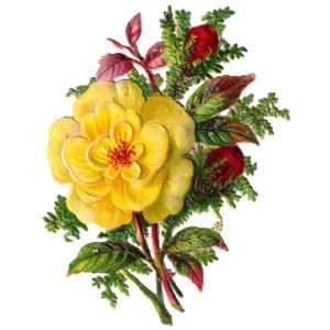  VICTORIAN DIE CUT FLOWERS 24 CROSS STITCH CHART: Home 
