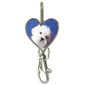  maltese Puppy Dog 3 Key Finder P0723: Everything Else