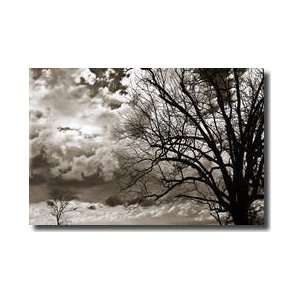  Approaching Storm I Giclee Print