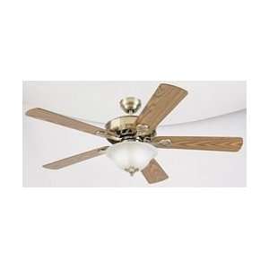  Indoor Ceiling Fans Westinghouse Bethany: Home Improvement