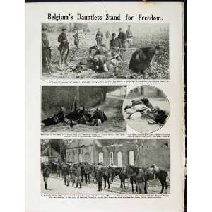  1915 WORLD WAR BELGIAN OFFICERS AERSCHOT SOLDIERS ALOST 