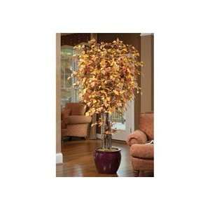 Autumn Birch Tree   8ft 