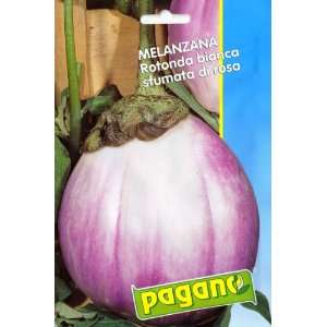  Pagano 1409 Eggplant (Melanzana) Round White Romanesca 