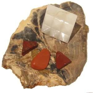 Chakra Plate 12 Petrified Wood Slab Red Jasper White Lemurian Pyramid 