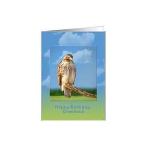  Birthday, Grandson, Rough Legged Hawk Card Toys & Games