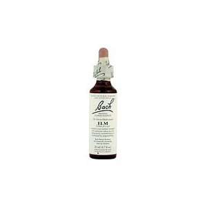  Elm Flower Essence   20 ml., (Bach Flower Essence) Health 