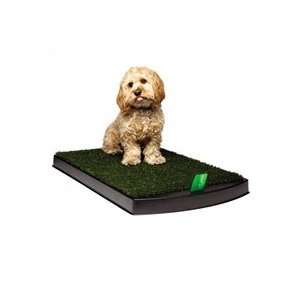  PetLawn™ Absorbent Pads, 20ct