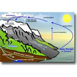  The Water Cycle   Educational Classroom Science Poster 
