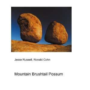    Mountain Brushtail Possum: Ronald Cohn Jesse Russell: Books