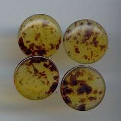 18 VINTAGE ITALIAN OLIVE AMBER 15MM ROUND CABOCHON 2977  