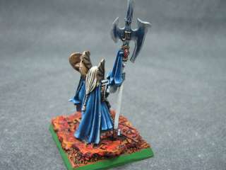Warhammer DPS Painted High Elf Hero HW032  