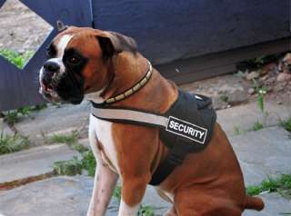 DT Working Harness w/ Patches ADOPT ME  