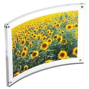   : Curved MAGNET FRAME clear acrylic by Canetti   6x8: Camera & Photo
