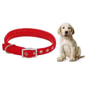   Como Red Dog Pet Neck Collar Leather Band Strap w Buckle: Pet Supplies