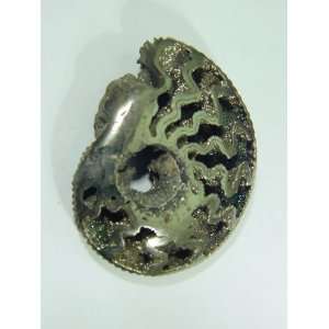 Iron pyrite ammonite lapidary fossil specimen Rondiceras