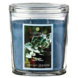  Pack of 2 Oval Cactus Flower Aromatic Candles 22oz
