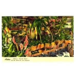  Cliftons Pacific Seas Flower Grotto & Poem Postcard 