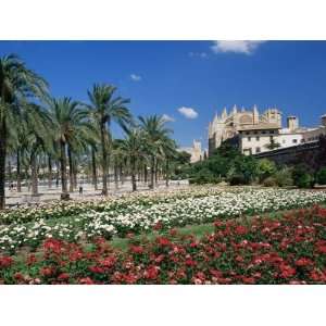  Palma Cathedral and Gardens of Parc De La Mar Square, Palma De 