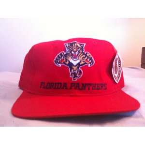  Florida Panthers Vintage Snapback Hat: Everything Else