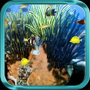   Tropical Fish Live Wallpaper by EdgeWay Software