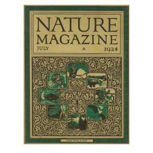  Magazine   View of All Types of Animals, Mammals, Reptiles, Birds 