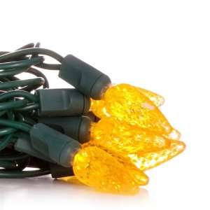  50 C6 Gold LED Christmas Light Set; Green Wire: Home 