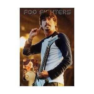 Music   Alternative Rock Posters: Foo Fighters   Dave Grohl Poster 
