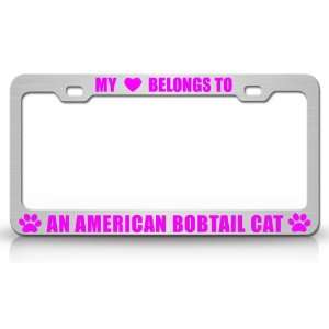 MY HEART BELONGS TO AN AMERICAN BOBTAIL Cat Pet Auto License Plate 