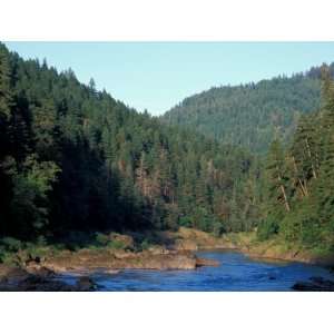  Forest Scenic, Rogue River, Siskiyou Mountains, Oregon 