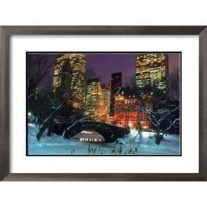  NYC, Central Park snow and Plaza Hotel Places Framed Art 