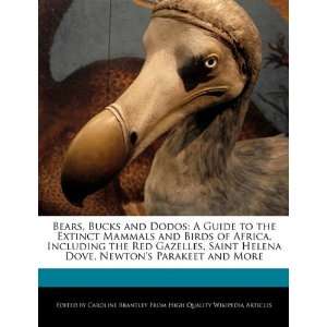  Bears, Bucks and Dodos A Guide to the Extinct Mammals and 