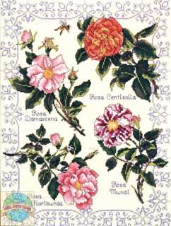 Cross Stitch Kit ~ JCA Botanical Roses on Lace Floral Sampler #02194 