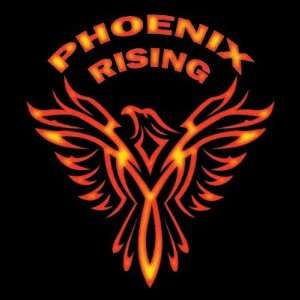  Phoenix Rising Buttons Arts, Crafts & Sewing