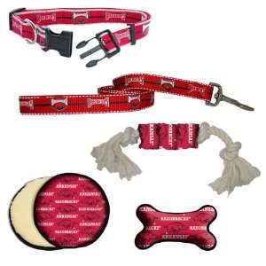  Arkansas Razorbacks Dog Collar, Lead, & Toy Gift Set: Pet 