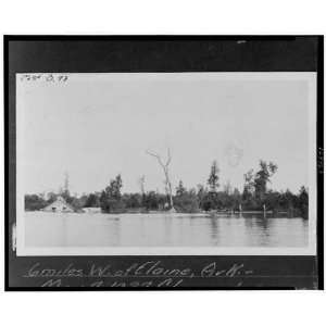   West of Elaine,Phillips County,Arkansas,AR,1927 Flood