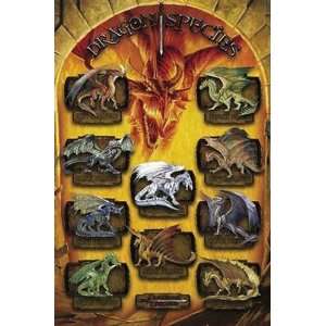   , Dragons & Sea Serpents Wall Poster Print, 23x35