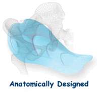anatomically designed bicycling short pad
