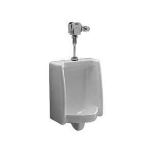   the Pint  0.125 Gpf Top Spud Ultra Low Consumption Urinal System Z5798