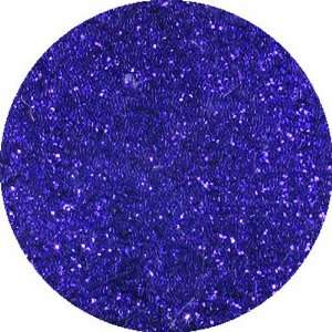  erikonail Fine Glitter Dark Purple: Health & Personal Care