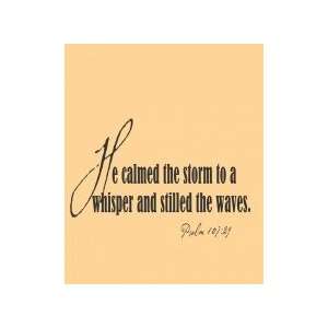  calmed the storm to   Removeable Wall Decal   selected color Baby 