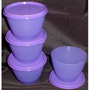  Tupperware Refrigerator Bowls Set of 4 Purple: Home 