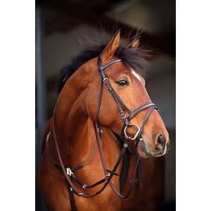  Amigo By Horseware Leather Bridle