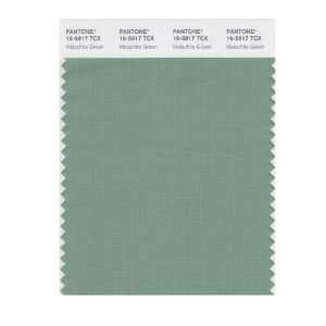   SMART 16 5917X Color Swatch Card, Malachite Green: Home Improvement